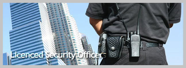 https://egits.net/wp-content/uploads/2021/09/Licenced-Security-Officers-banner.jpg